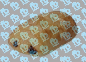 Mini Pane Chocolate x 25gr