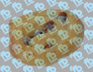 Mini Chelsea Buns x 35gr