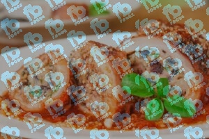 Squid Tubes U5 x 1kg