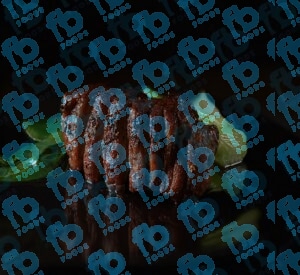 Wild Boar Tenderloin x 800-900gr